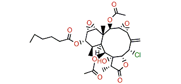 Milolide E